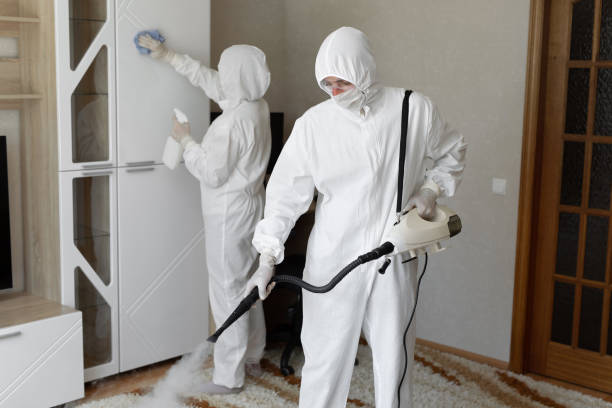 Professional Mold Remediation in Otisville, NY